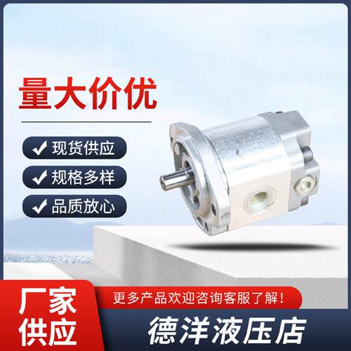 询凯斯帕CASAPPA齿轮泵PLP1011.522.53.15455.86.38油泵