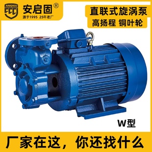高压旋涡泵不锈钢漩旋涡增压泵直联高扬程锅炉蒸汽发生器给补水泵