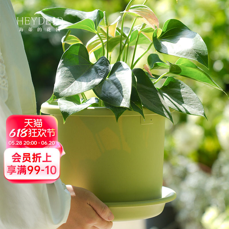海蒂的花园爱丽思树脂花盆托盘月季绣球绿萝玫瑰花盆栽塑料盆托