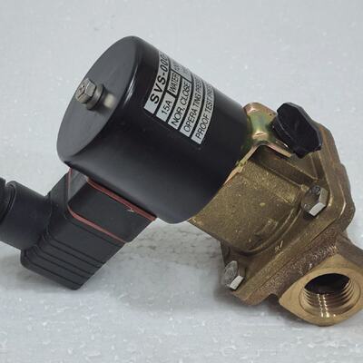 SVS000021 Vanne  Eau 0.06MPa Solnode Actionn 100110V Nor. Fe