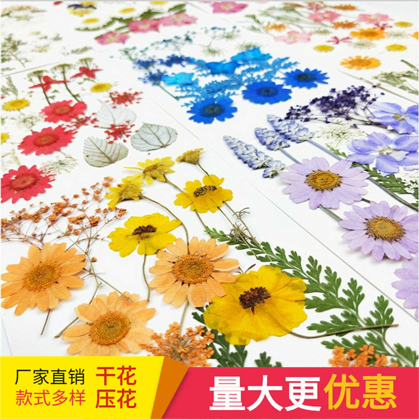 跨境实体干花批发手工diy材料包网红贴脸写真妆押花压花仙女妆
