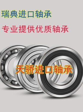 瑞典进口轴承60066007600860096010-2Z/C32RS1RSHC3高速