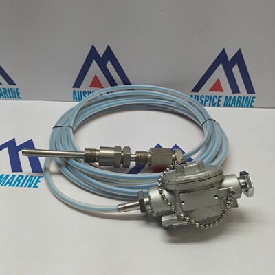 Sensore Di Temperatura RTD Bulbo PT100 Ohm Classe 0.3 Di Res