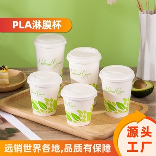 一次性纸杯子8盎司加厚商务办公广告杯家用热饮杯