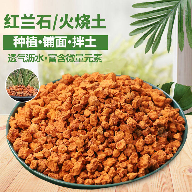 红兰石火烧土颗粒红土兰花植料专用基石保湿垫底花卉营养土铺