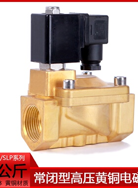 寻I16公斤DF型电磁阀水阀加厚黄铜电磁阀气阀SLP型AC220V24V12V