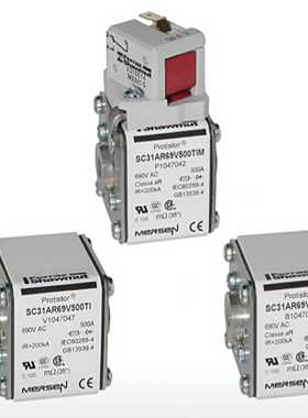 罗兰熔断器SC30AR69V160TIUF1047034