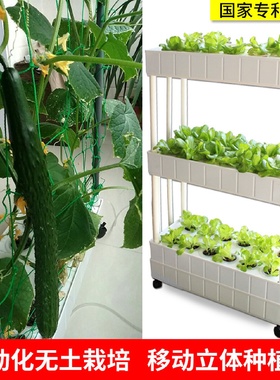 阳台无土栽培蔬菜种植机水培设备家用种菜神器室内家庭水耕种植箱