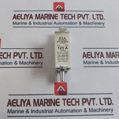 EIA NH0000C Eurofuse 125A 500V GLGG 120KA