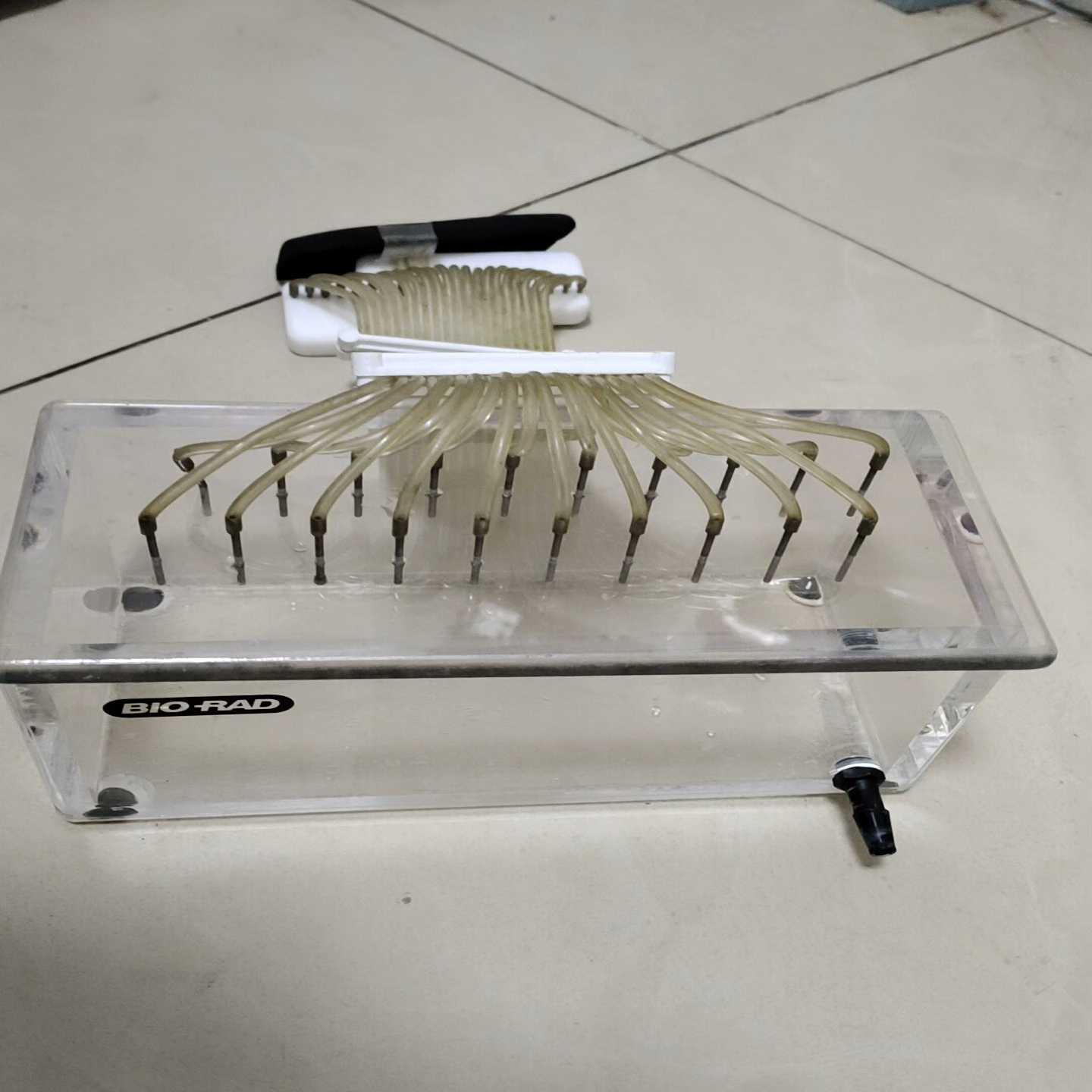 BIORAD清洗槽，邮费自理询价