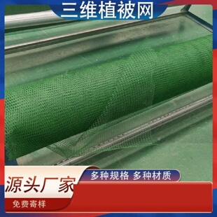加筋麦克垫河道护坡生态绿化三维植被网镀锌高尔凡固土植生垫挂网