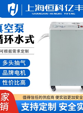 循环水式SHZ-95多用真空泵实验室五抽头不锈钢大功率循环水真空泵