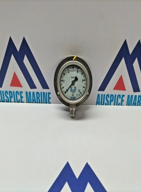 EriksWIKAEconEN837-1Druckmesser0-10Stange