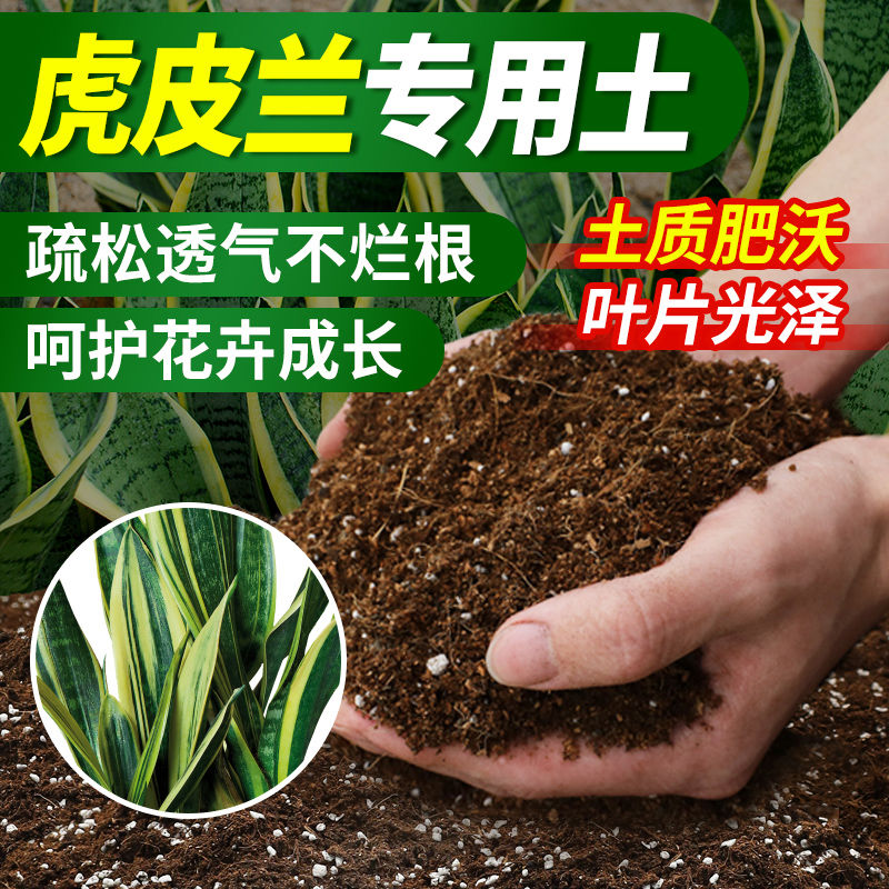 金边虎皮兰专用营养土通用花土家用虎尾兰土壤种植土有机养殖