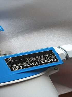 询价TM131EndressHauser恩德斯豪斯温度变送器，