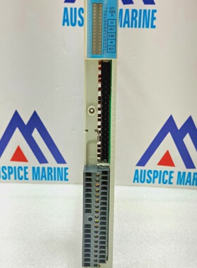 Modulo Di Ingresso Honeywell 6213580R 24 VDC