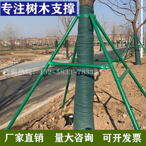 树木支撑架厂家苗木防倒绿化支撑杆镀锌钢管烤漆抱箍大树固定器