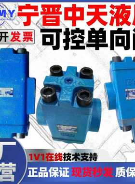 宁晋中天液压阀4D2可控液控单向阀5D2a 6D2 7D2 8D2 DDFY-L32H/