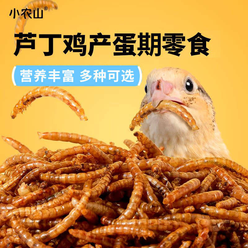 芦丁鸡鹦鹉八哥零食饲料鸟粮黑水虻面包虫干蔬菜干保健砂食物