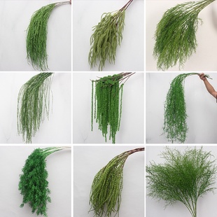10枝装仿真绿植垂吊婚礼森系吊顶婚庆花材路引花芦荀草花排背景花