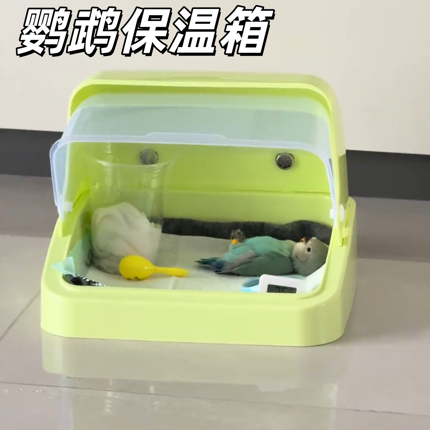 鹦鹉专用保温箱育雏箱手养鹦鹉保温盒幼鸟饲养箱幼鸟恒温繁衍箱,宠物/宠物食品及用品,鸟禽其他,淘宝优惠券,粉丝福利购,淘宝优惠卷
