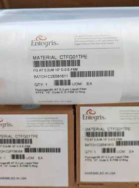 美国Entegris英特格过滤器滤芯CTFA01TPEK全新原装