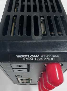 WATLOW模块RMZ4-1604-AAHR实物一个议-议价