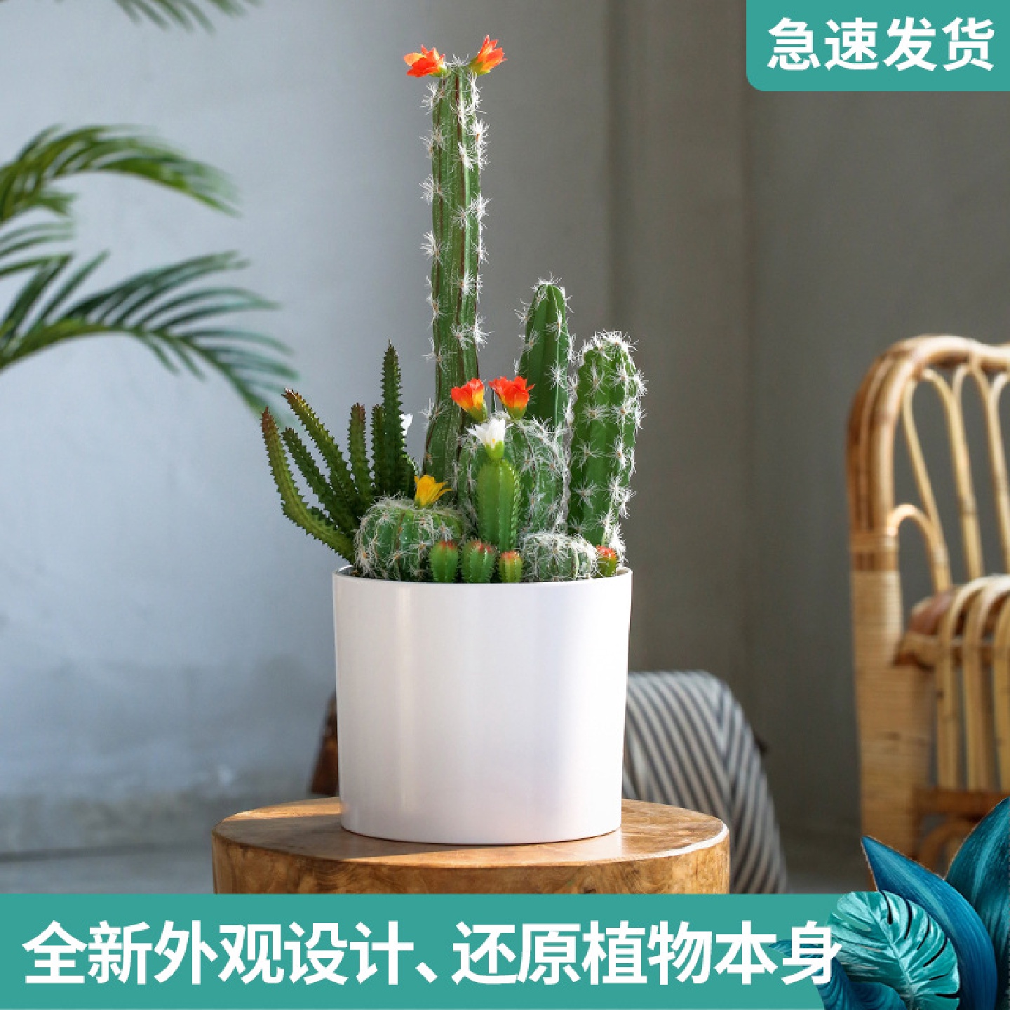 罗曼妈妈北欧室内仿真绿植盆栽仙人掌组合盆景客厅桌面小摆件装饰