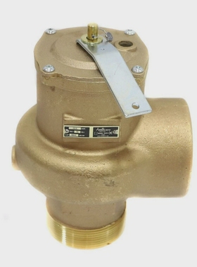ApolloValves14-207-08RVS14PressureReliefValveSteam3