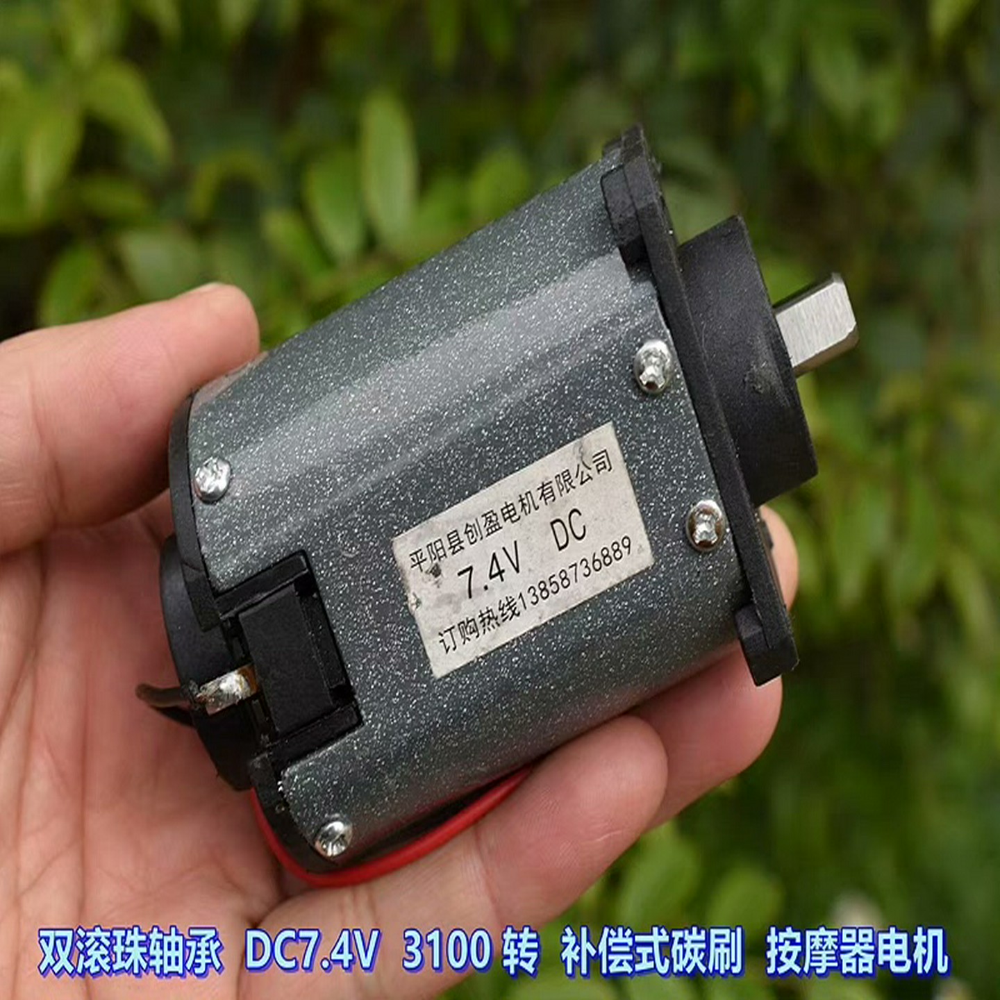 议价议价议价双滚珠轴承 DC74V 3100 转 补偿式碳刷 静音 按议价