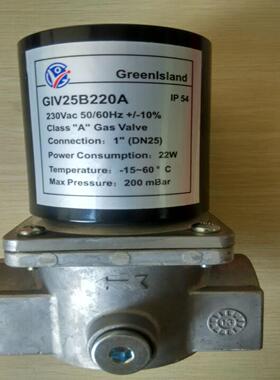 Greenlsland燃气电磁阀GIV50B220AGIV40B220A15GIV25B220A