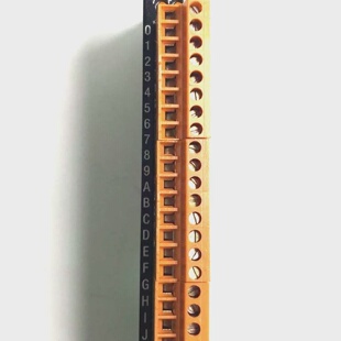 BR Digital Output Module ECA2440 Rev 12.00