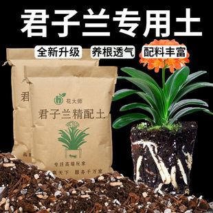 君子兰专用营养土兰花土腐叶松针土泥炭松树皮精配盆栽种植的