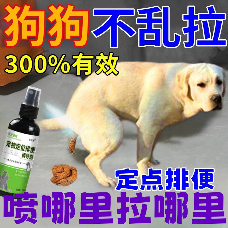 狗狗厕所诱导剂大小便定位定点排便训厕液宠物尿尿拉屎便便导