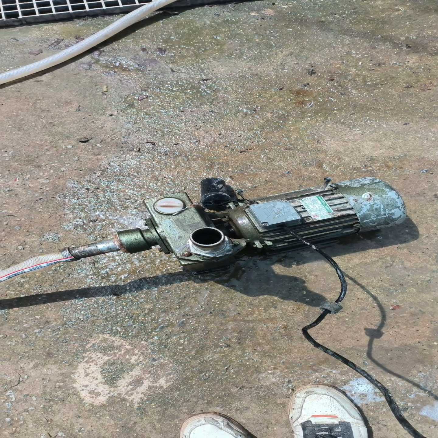 议价上海波奇db-5自吸离心泵220uv功率1.5kw，维修/现货