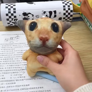 阿米嘎蒂朵喵喵发声挂件哈基米玩偶钥匙扣可爱抽象书包挂饰小礼物