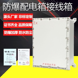 防爆接线箱配电箱检修箱照明开关插座箱仪表电源控制箱不锈钢电柜