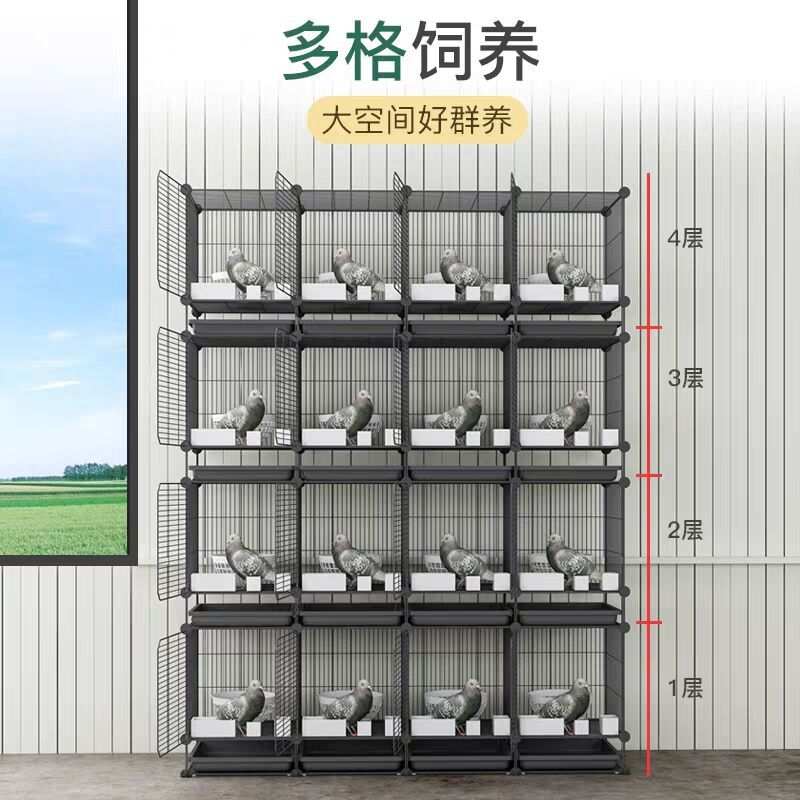 大号加粗鸽子用品用具12位16位养殖鸽子笼信鸽配对笼肉鸽繁殖笼子