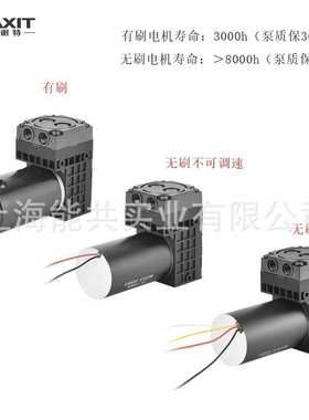 原装BAXIT微型隔膜泵PM27746-86 DC24V采样泵真空泵 CEMS抽气泵