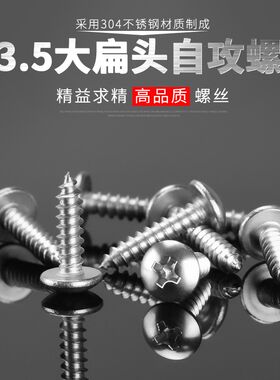 标准304不锈钢大扁头自攻螺丝钉蘑菇头十字头自功罗丝m3.5*6.5/38