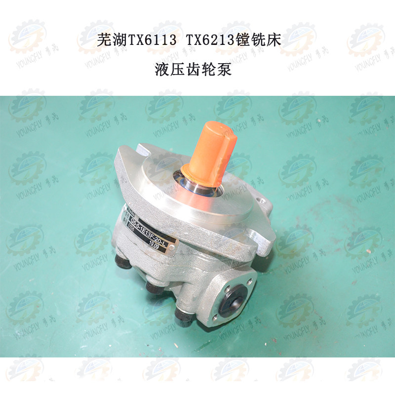 芜湖恒升TX6113 TX6213镗铣床液压齿轮泵G5-5-1E13F-20-L