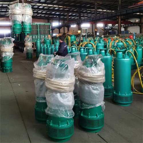 BQS50-30-7.5/N矿用隔爆型潜水排沙电泵 内装式潜水排沙电泵