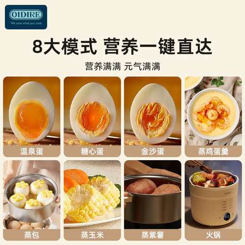 OIDIRE煮蛋器多功能小型温泉煮蛋机蒸蛋器防干烧可定时煮鸡蛋神器