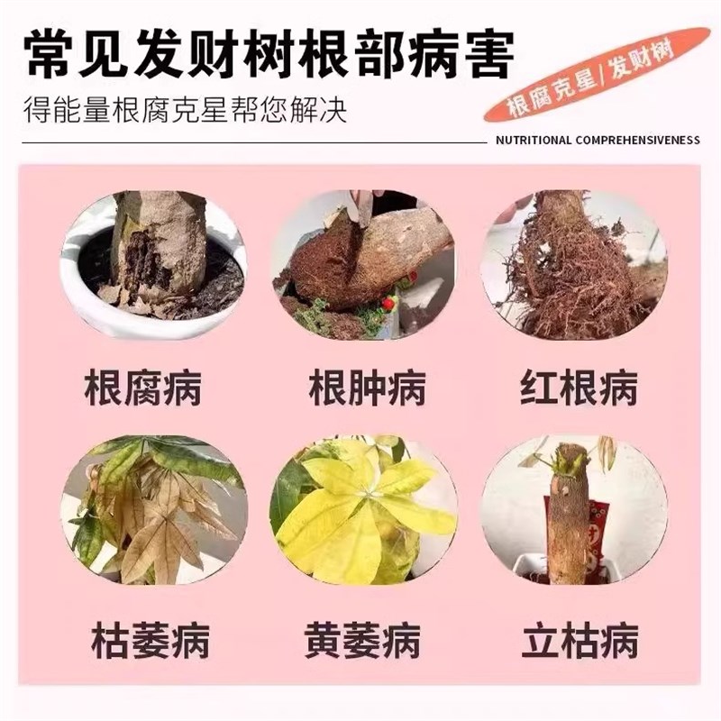 发财树快速生根液室内盆栽营养液烂根黄叶枯叶黄叶根腐肥料专用肥
