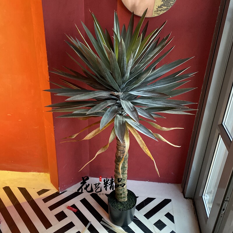 多肉植物热带假花绿植芦荟虎皮兰剑麻盆栽造景沙漠橱窗布景美陈道