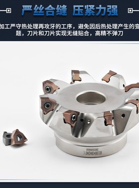 山高R220魔方方肩可转位刀盘XNEX080608快进给双面六刃通装金鹭