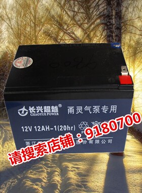 甬灵增氧泵9800/10000/4800电瓶交直流两用增氧机蓄电池12V12A