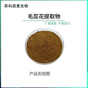 毛蕊花提取物另有毛弗斯可林10% 20% 现货毛喉鞘蕊花提取物