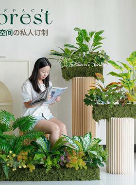 造景组合植物盆栽客厅大型绿植室内落地大号花盆办公室四季常青树