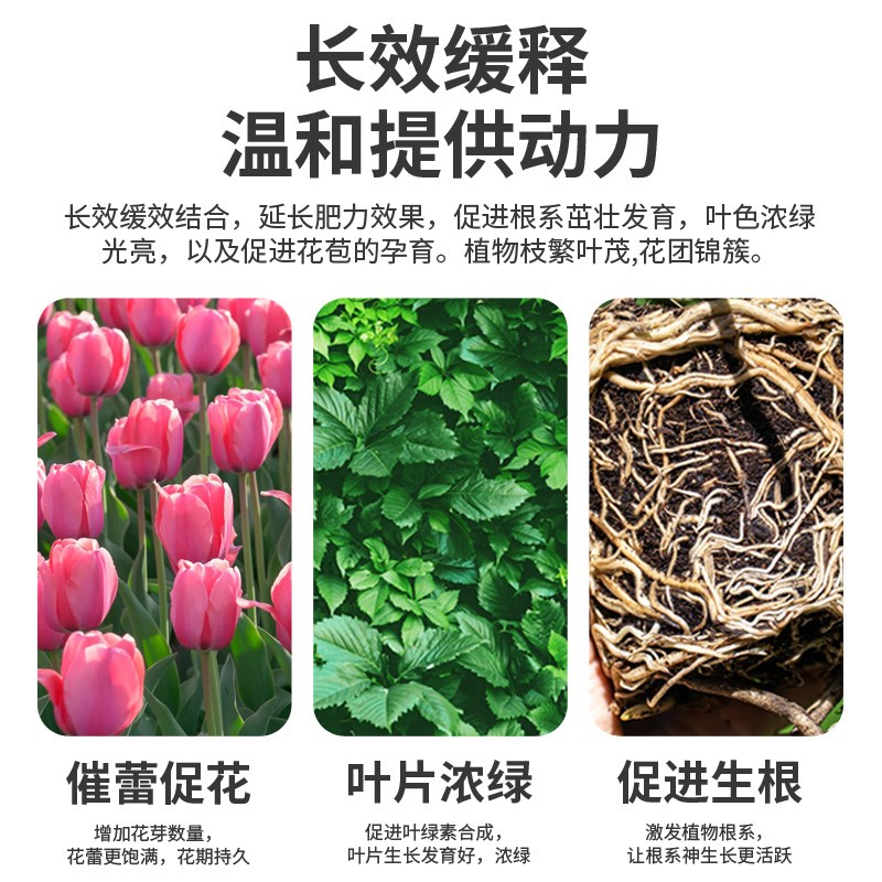 植物营养棒缓释肥料片缓释棒盆栽多肉肥料玫瑰月季花肥绿植通用型